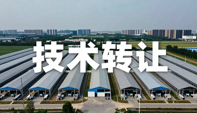精准系统定制：如何实现业务场景中的高效匹配