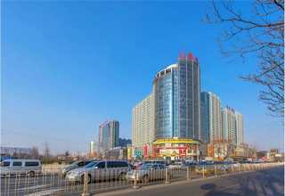 屯留区完美沙棘茶每天喝多少