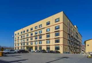 漳州安海土笋冻